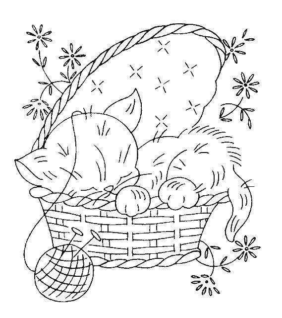 Раскраска Кошечка спит в корзине Скачать ,кошка, корзина,.  Распечатать 