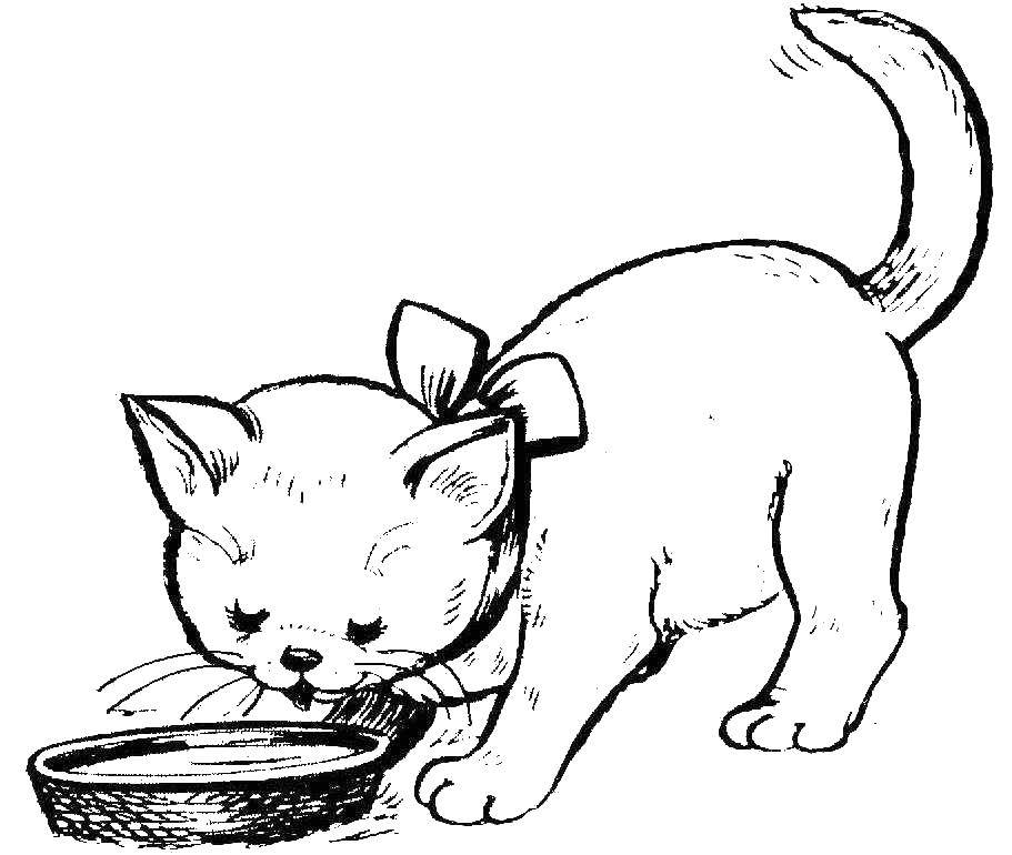 Раскраска Кошечка мари Скачать ,кошка, котята,.  Распечатать 