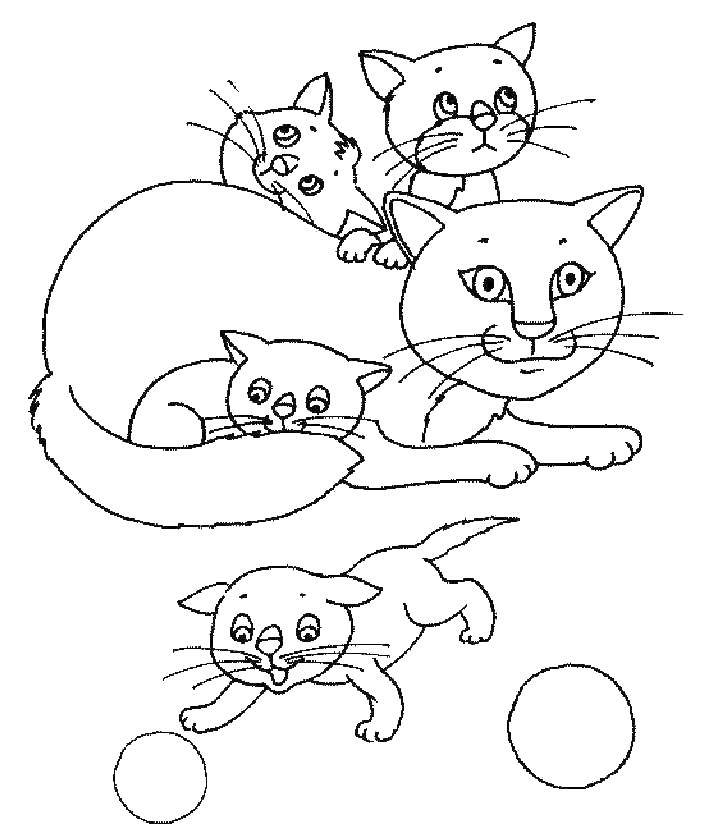 Раскраска Кошка с котятами Скачать ,кошка, котята,.  Распечатать 