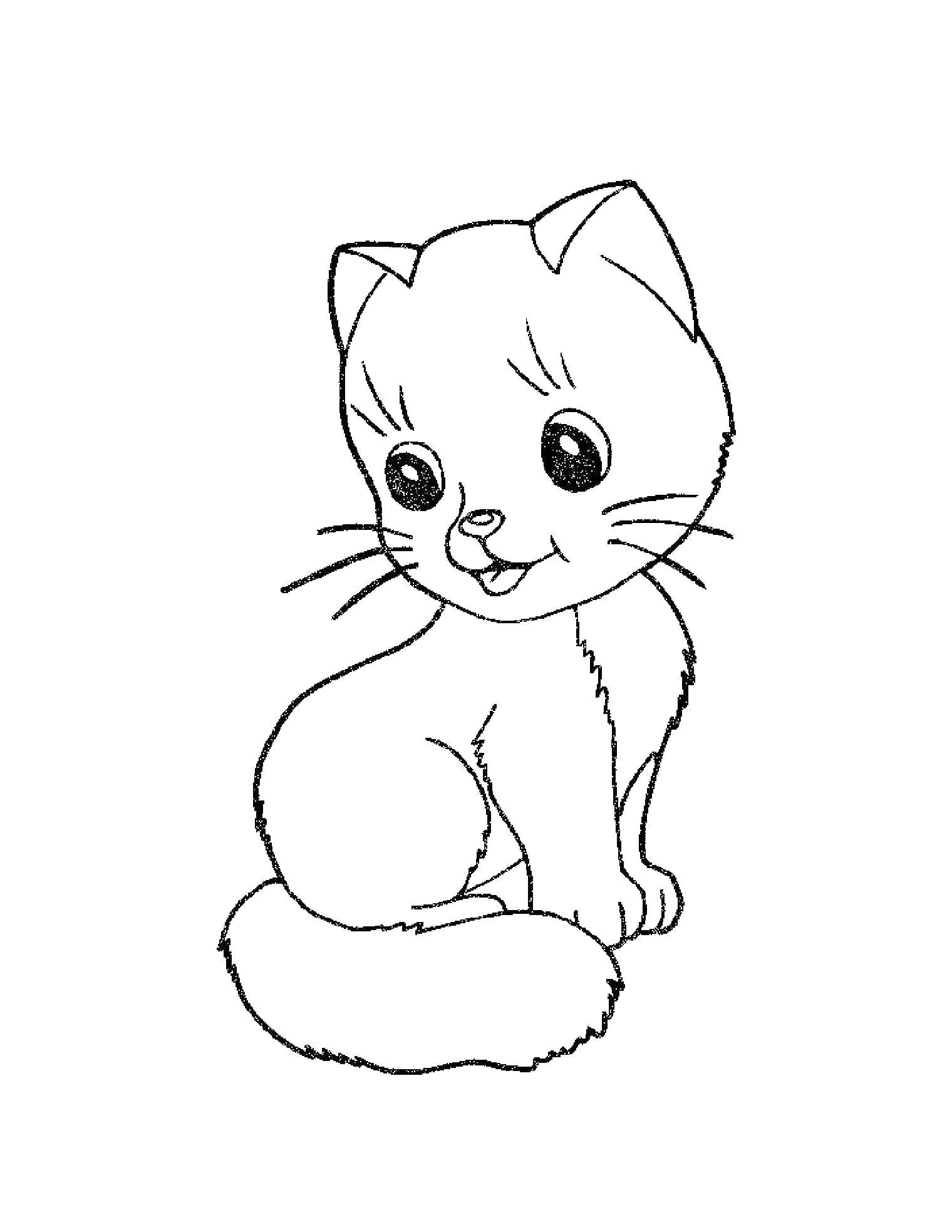 Раскраска Кошка Скачать ,кошка, котята,.  Распечатать 
