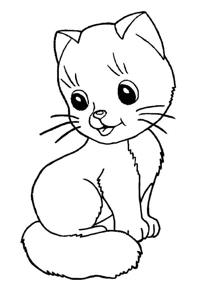Раскраска Котенок Скачать ,кошка, котята,.  Распечатать 