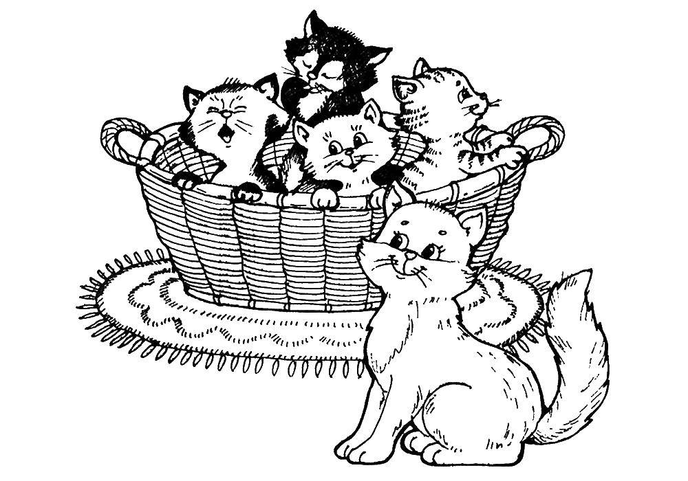 Раскраска Котята в корзинке Скачать ,животные, кошка, котенок,.  Распечатать 