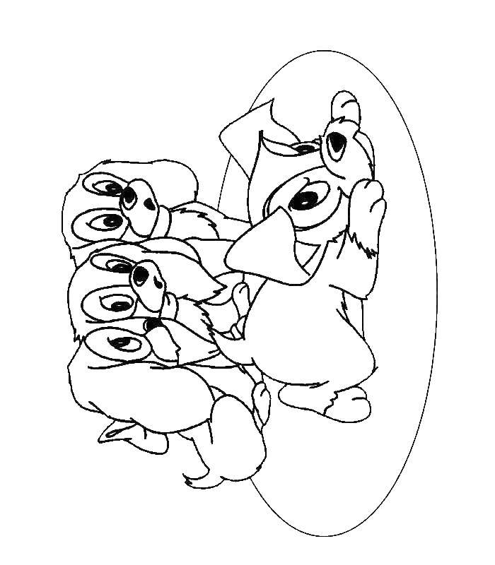 Раскраска Щенки играют Скачать ,щенки,.  Распечатать 