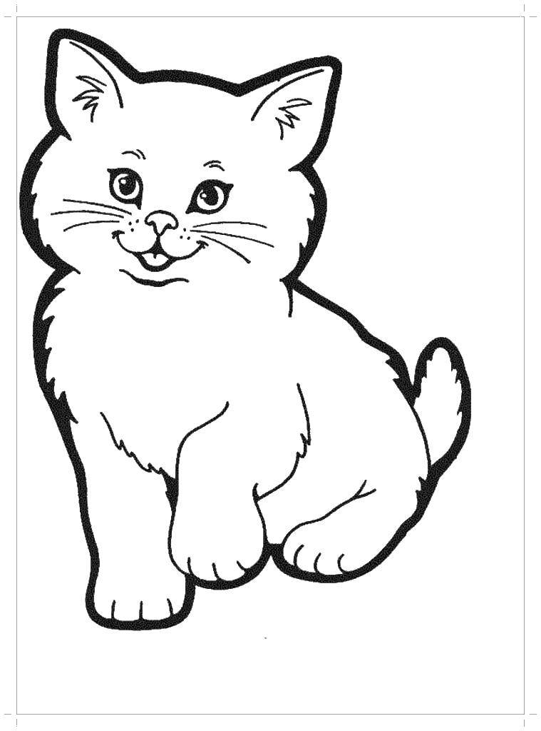 Раскраска котята Скачать ,котик,.  Распечатать 
