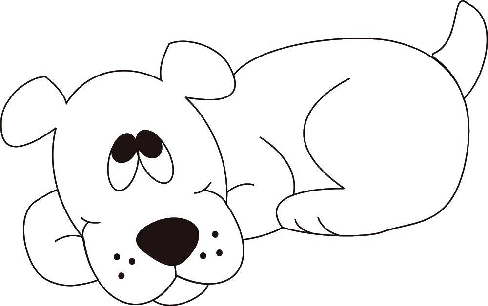 Раскраска Контур собаки Скачать ,собака,.  Распечатать 