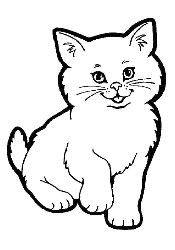 Раскраска Кошка Скачать ,кошка, котята,.  Распечатать 