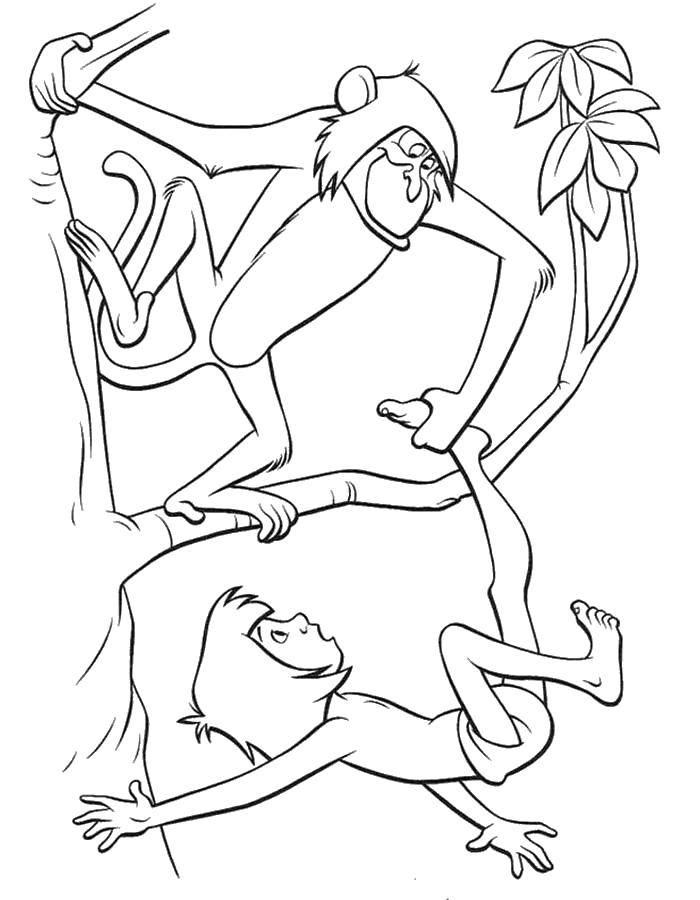 Раскраска Обезьянка играет с маугли Скачать ,Маугли,.  Распечатать 