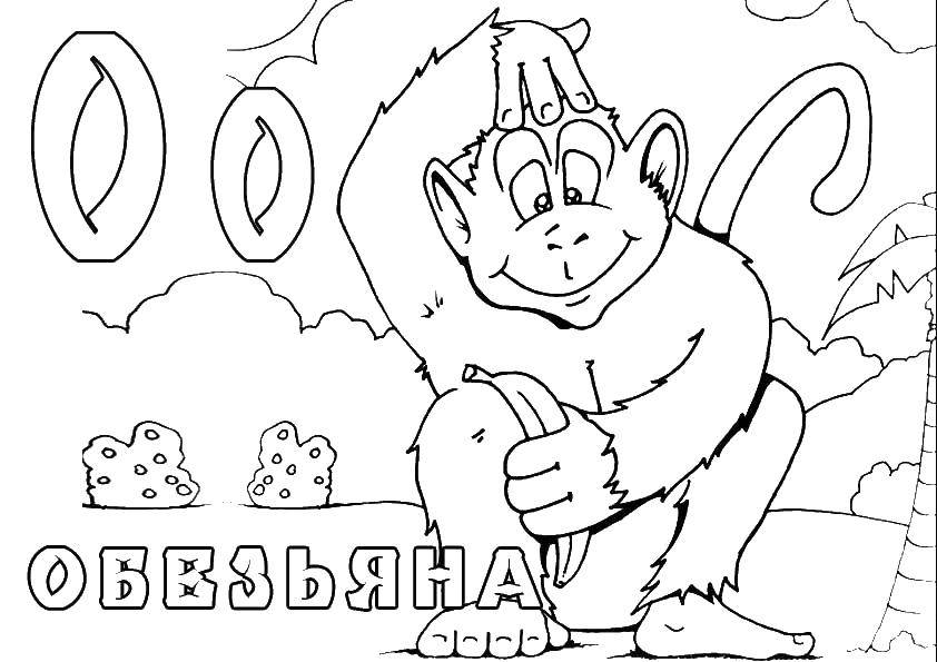 Раскраска Животные Скачать .  Распечатать 
