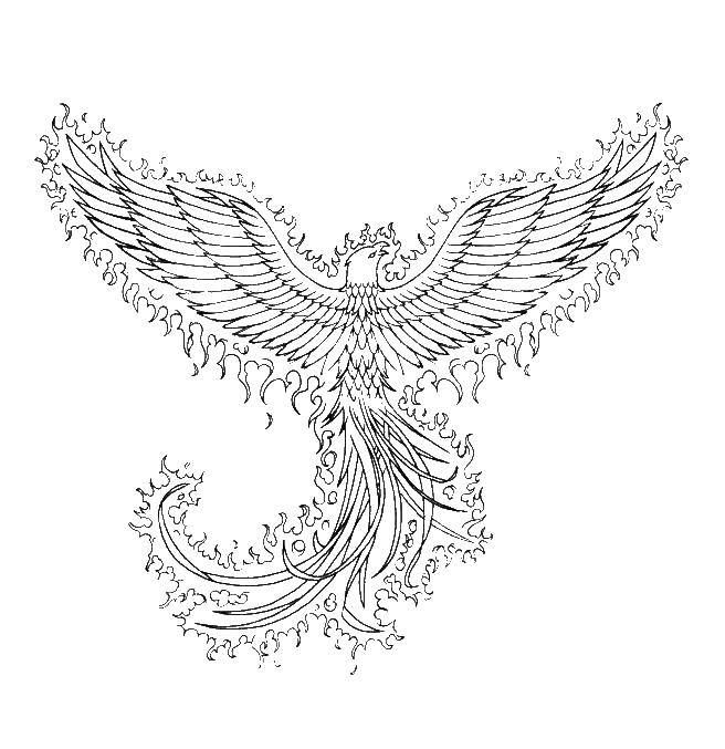 Название: Раскраска Жар птица. Категория: птицы. Теги: Жарптица, Иванушка.