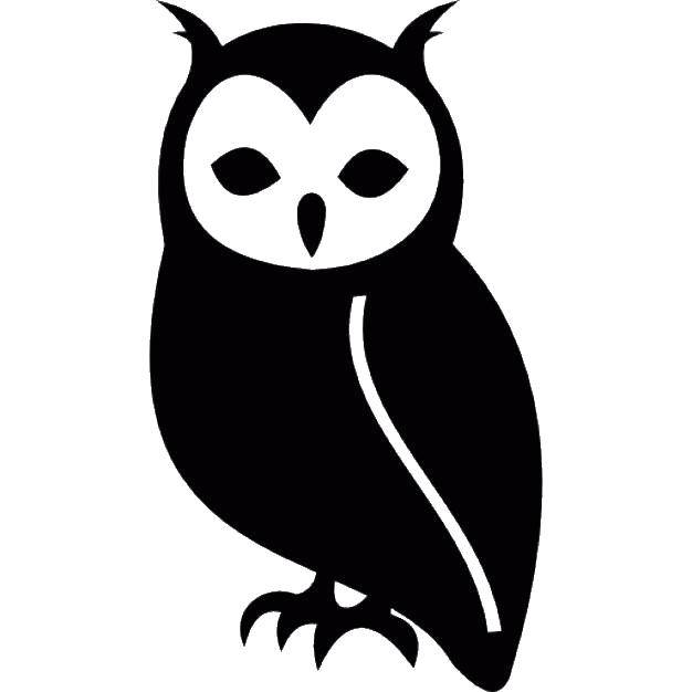 Название: Раскраска Филлин. Категория: Контуры животных. Теги: филлин, птица.