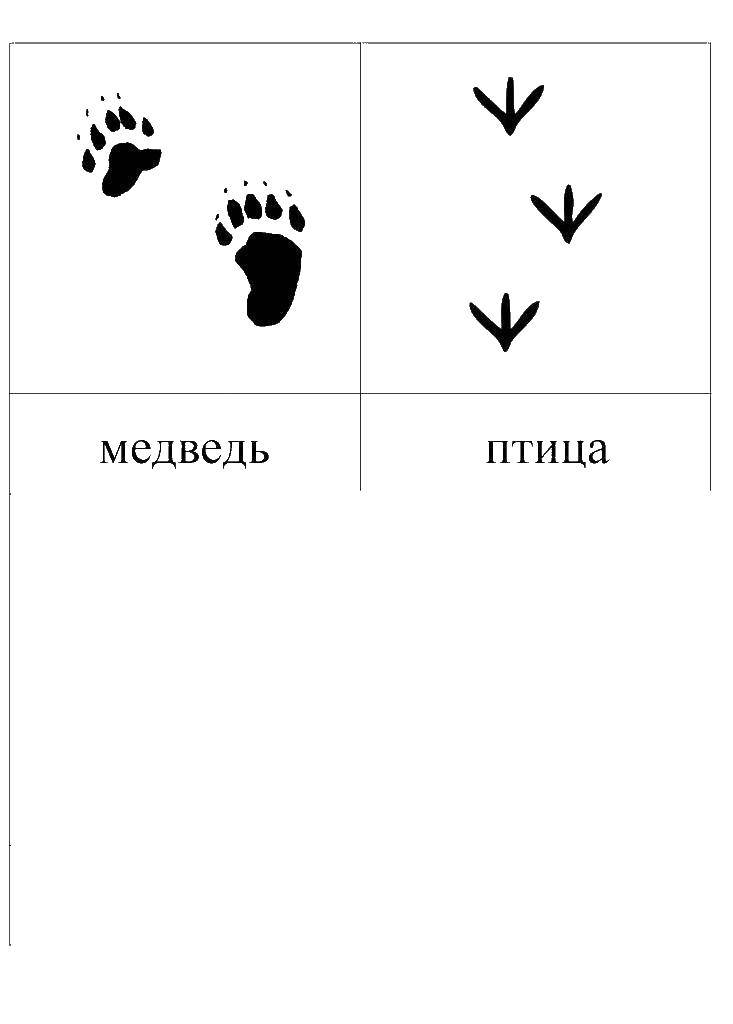 Название: Раскраска Следы животных. Категория: следы животных. Теги: След.