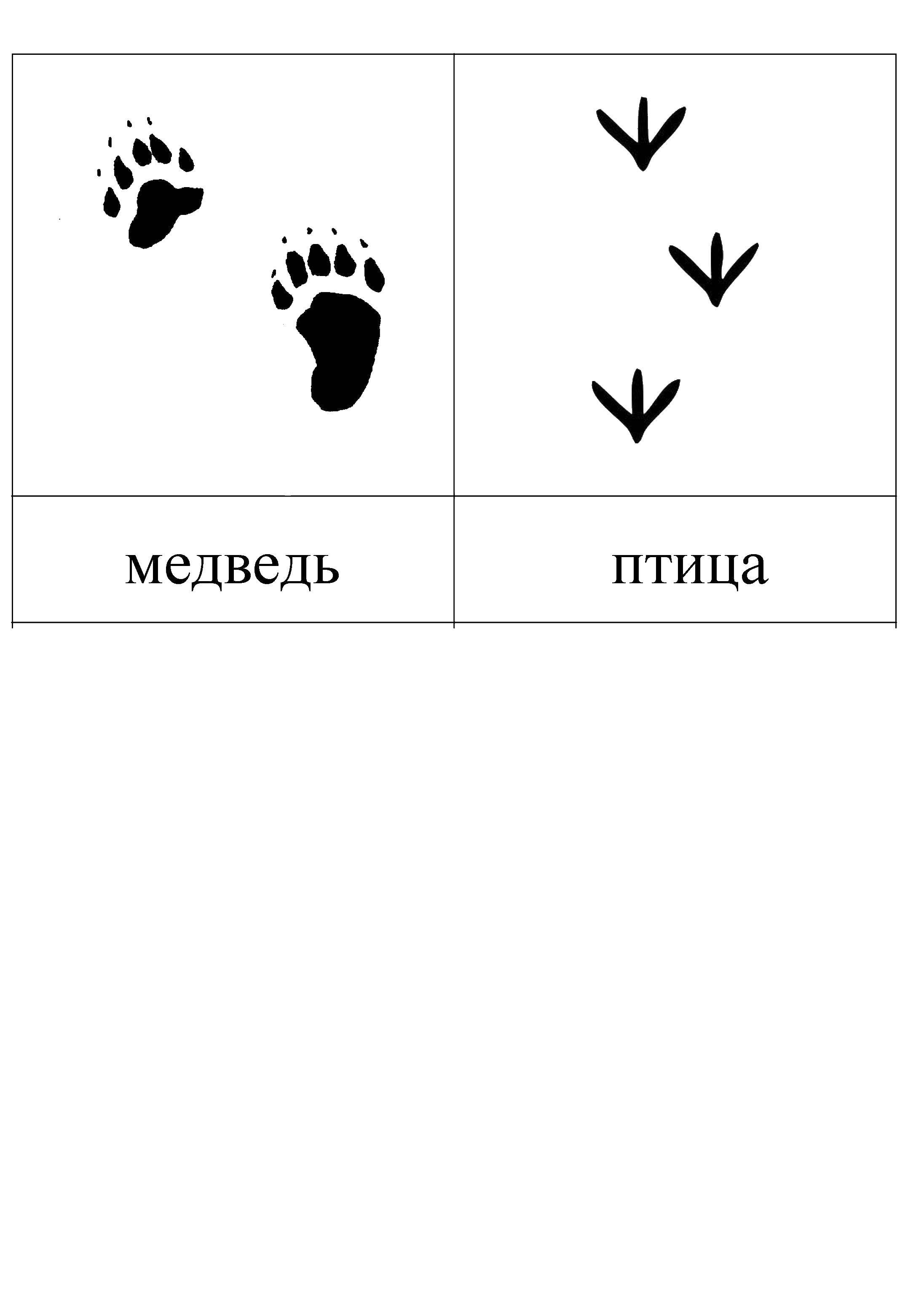 Название: Раскраска Следы животных. Категория: следы животных. Теги: След.