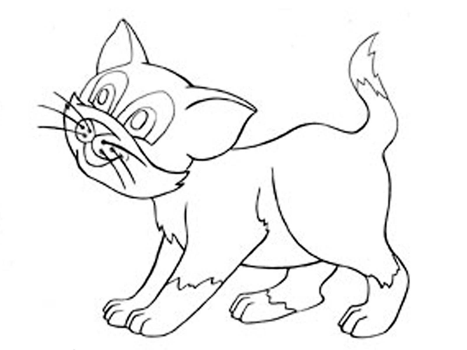 Название: Раскраска Котенок. Категория: домашние животные. Теги: кошка, котенок.