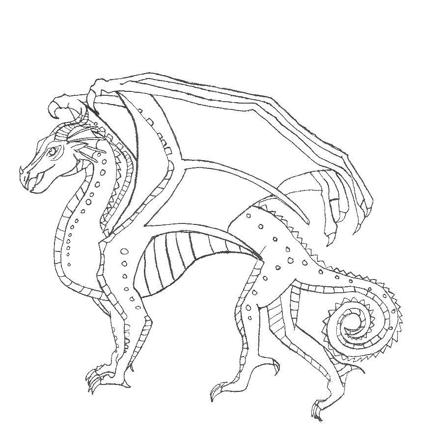 Раскраска Красивый дракон Скачать ,Драконы,.  Распечатать 