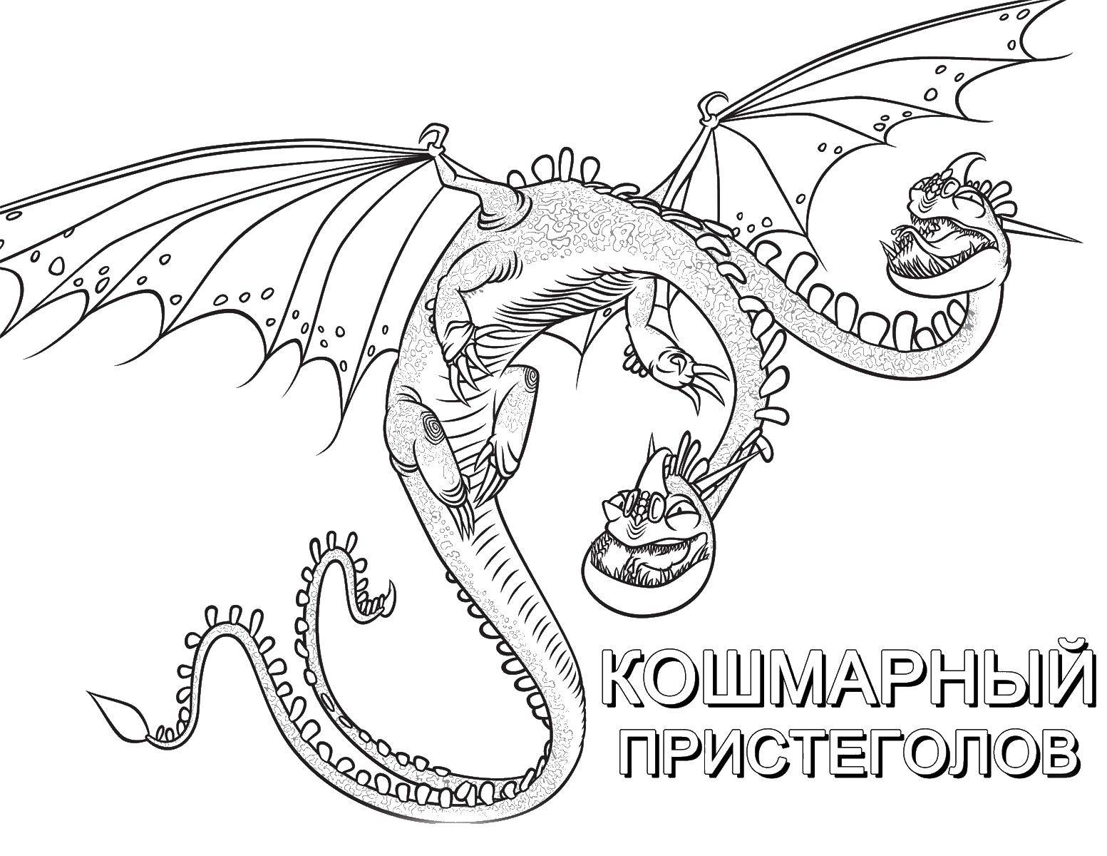 Название: Раскраска Мультфильм фурия. Категория: раскраски. Теги: мультфильм Фурия, персонажи.