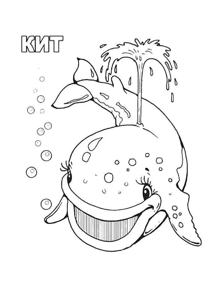 Раскраска Кит Скачать ,море, морские обитатели, морские жители, кит,.  Распечатать 