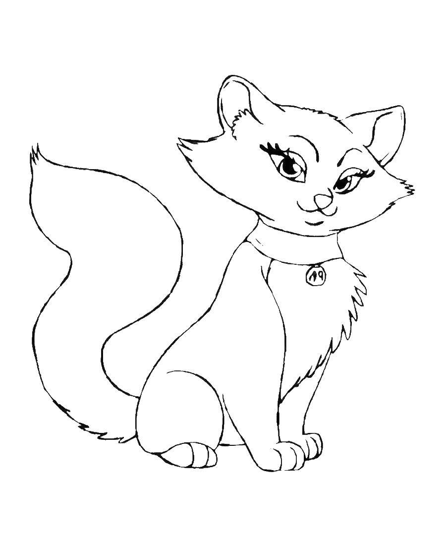 Раскраска Кошечка Скачать ,животные, кошка, котенок,.  Распечатать 