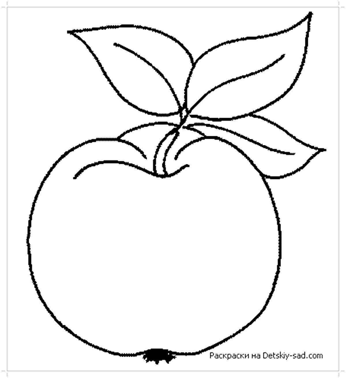 Название: Раскраска Яблоко. Категория: яблоко. Теги: яблоко.