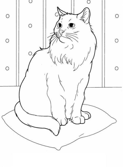 Название: Раскраска Кошка на подушке. Категория: домашние животные. Теги: кошка, подушка.