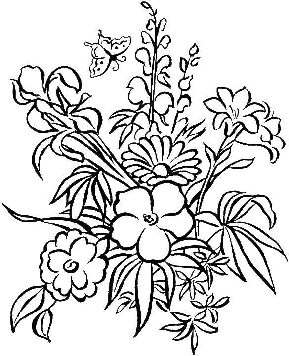 Название: Раскраска Цветы. Категория: цветы. Теги: цветы, букет.