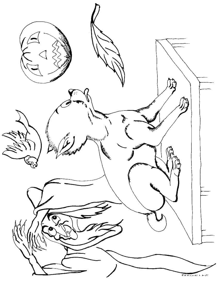 Раскраска Кот ведьмы Скачать ,Хэллоуин, ведьма, ночь, кот,.  Распечатать 