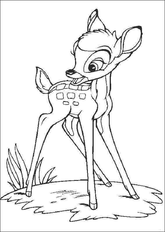 Название: Раскраска Олененок бэмби. Категория: бэмби. Теги: Бэмби, мультфильмы, олененок.