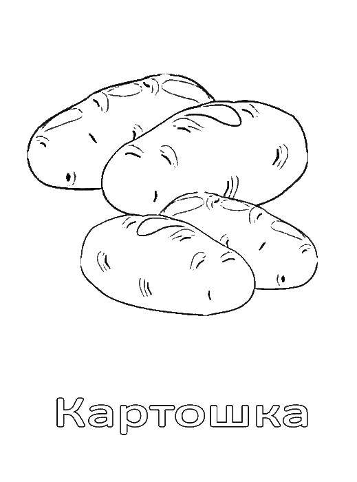 Раскраска Картошка Скачать ,Овощи,.  Распечатать 