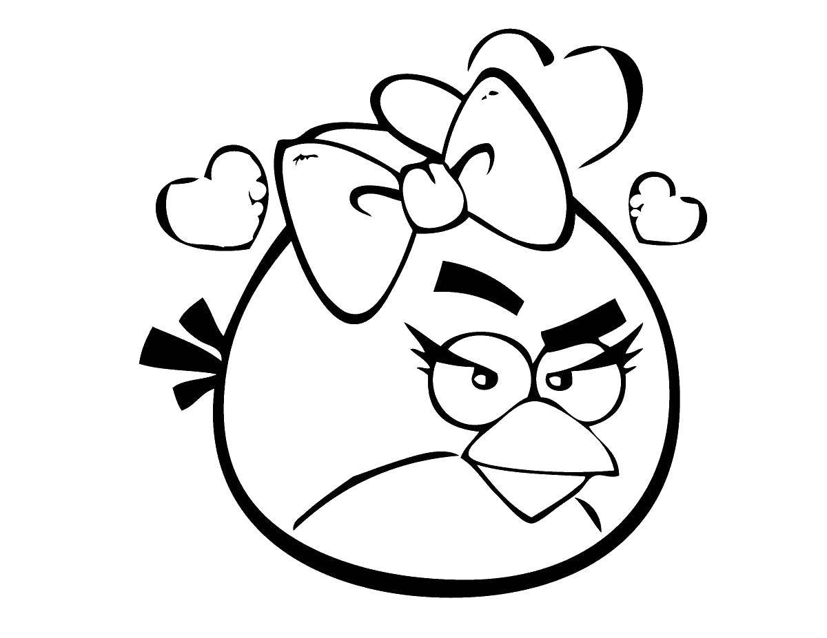 Раскраска Angry birds Скачать ,angry birds, птицы,.  Распечатать 