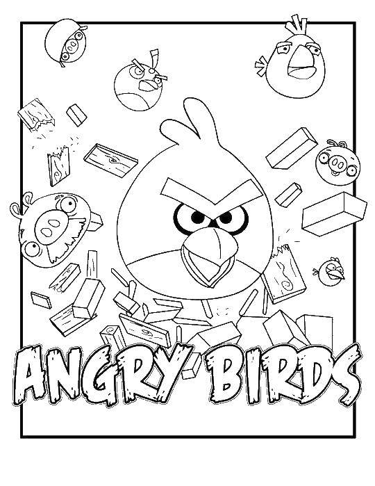 Раскраска Angry birds Скачать ,Игры, Angry Birds ,.  Распечатать 