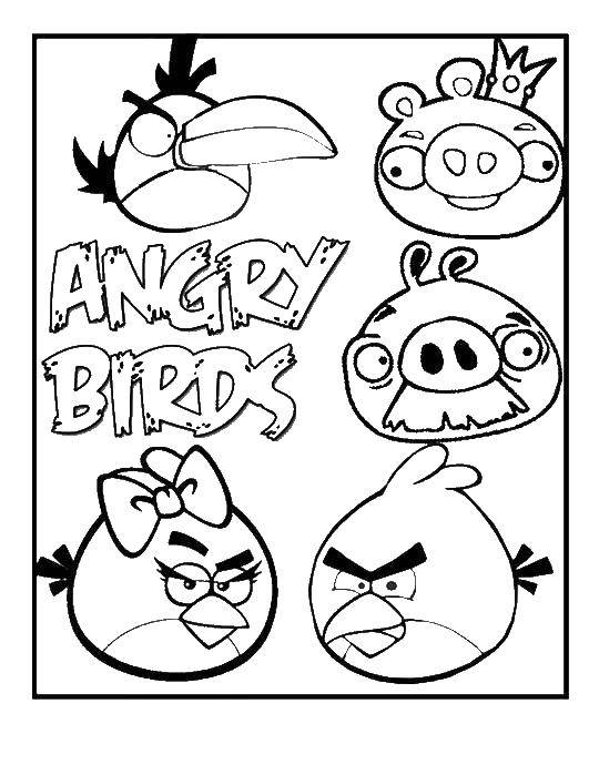 Раскраска angry birds Скачать .  Распечатать 