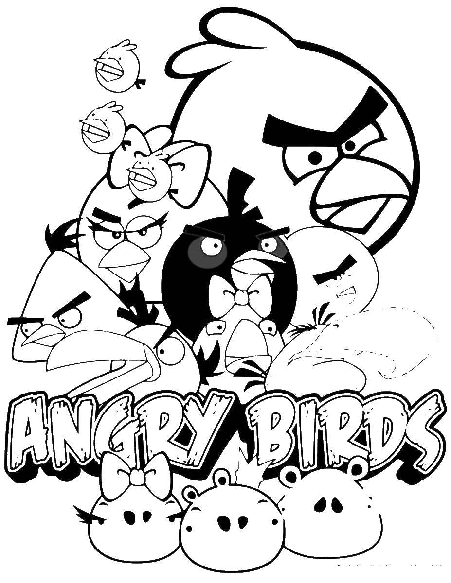 Раскраска Энгри бердз Скачать ,энгри бердз, angry birds,.  Распечатать 