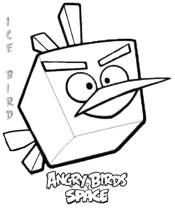 Раскраска angry birds Скачать .  Распечатать 