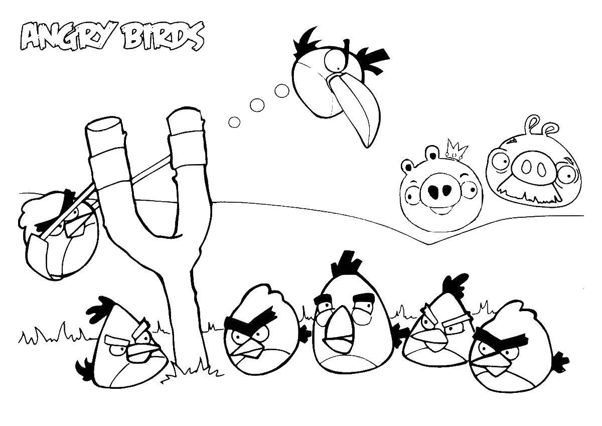 Название: Раскраска Angry birds. Категория: angry birds. Теги: Игры, Angry Birds .