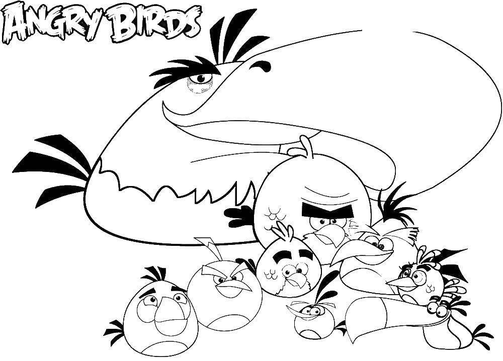 Название: Раскраска Энгри бердз. Категория: angry birds. Теги: энгри бердз.