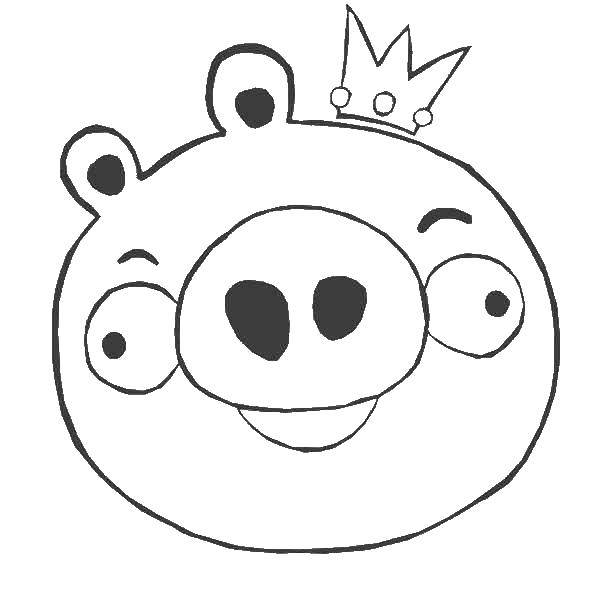 Название: Раскраска Король свинья. Категория: angry birds. Теги: Игры, Angry Birds .