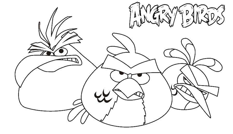 Название: Раскраска Птички из angry birds . Категория: angry birds. Теги: Игры, Angry Birds .