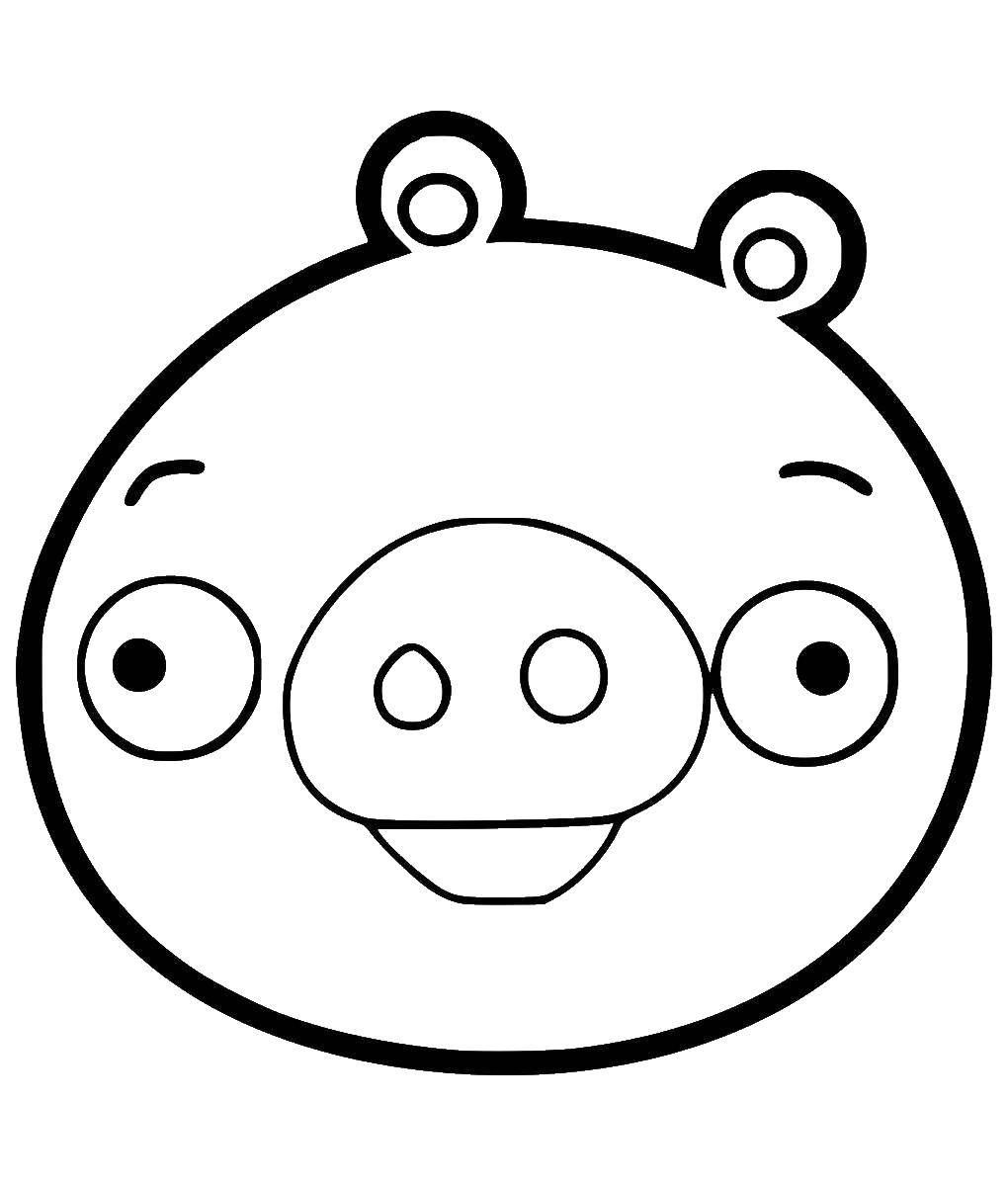 Название: Раскраска Свинья из angry birds. Категория: angry birds. Теги: Игры, Angry Birds .