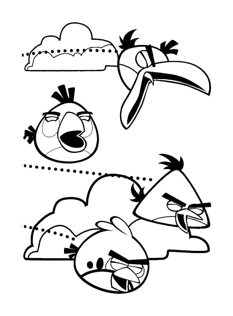 Раскраска Птички из angry birds  Скачать ,Игры, Angry Birds ,.  Распечатать 
