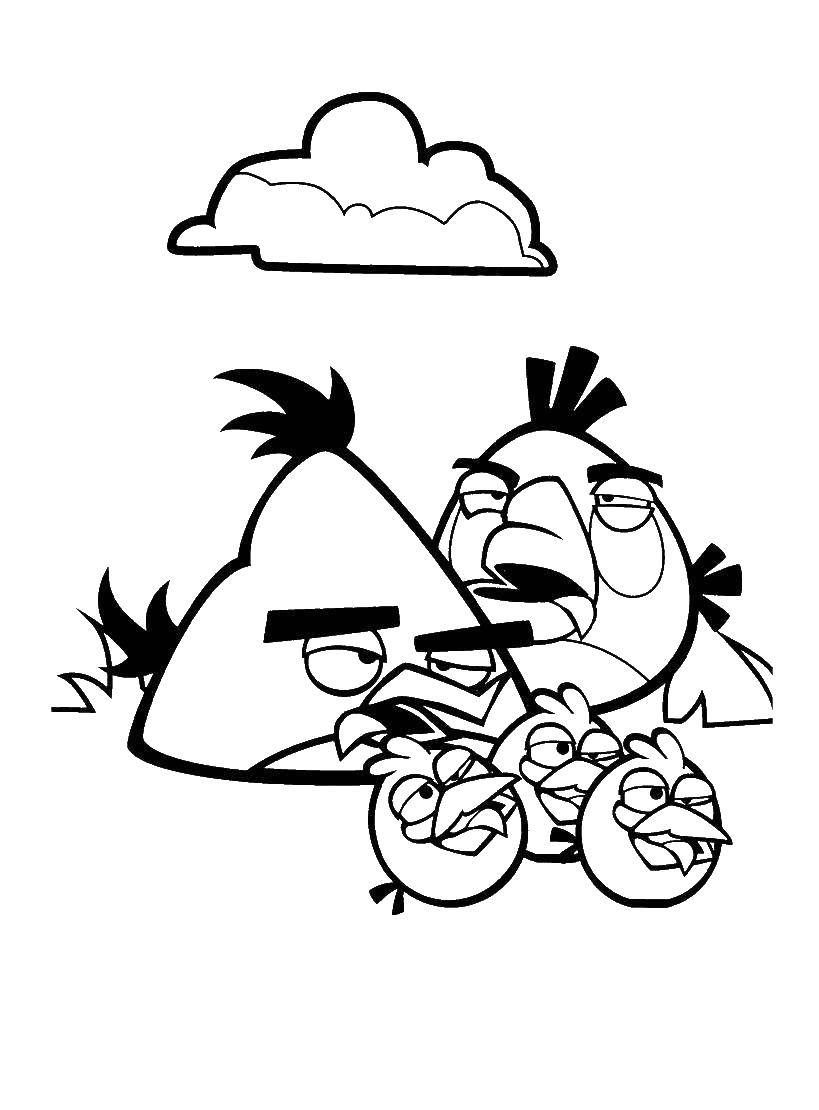 Название: Раскраска Птички из angry birds . Категория: angry birds. Теги: Игры, Angry Birds .