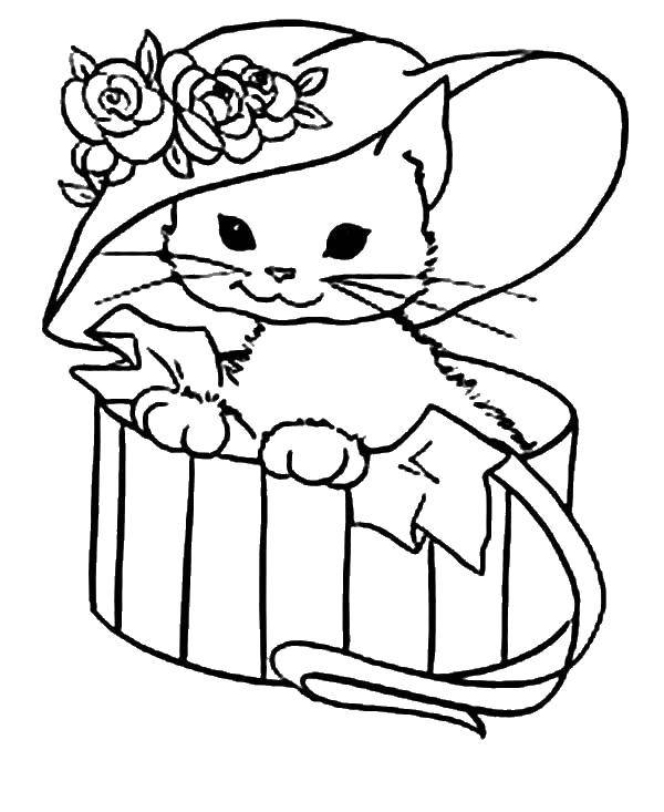 Раскраска Кошечка в шляпе Скачать ,кошка, кот,.  Распечатать 