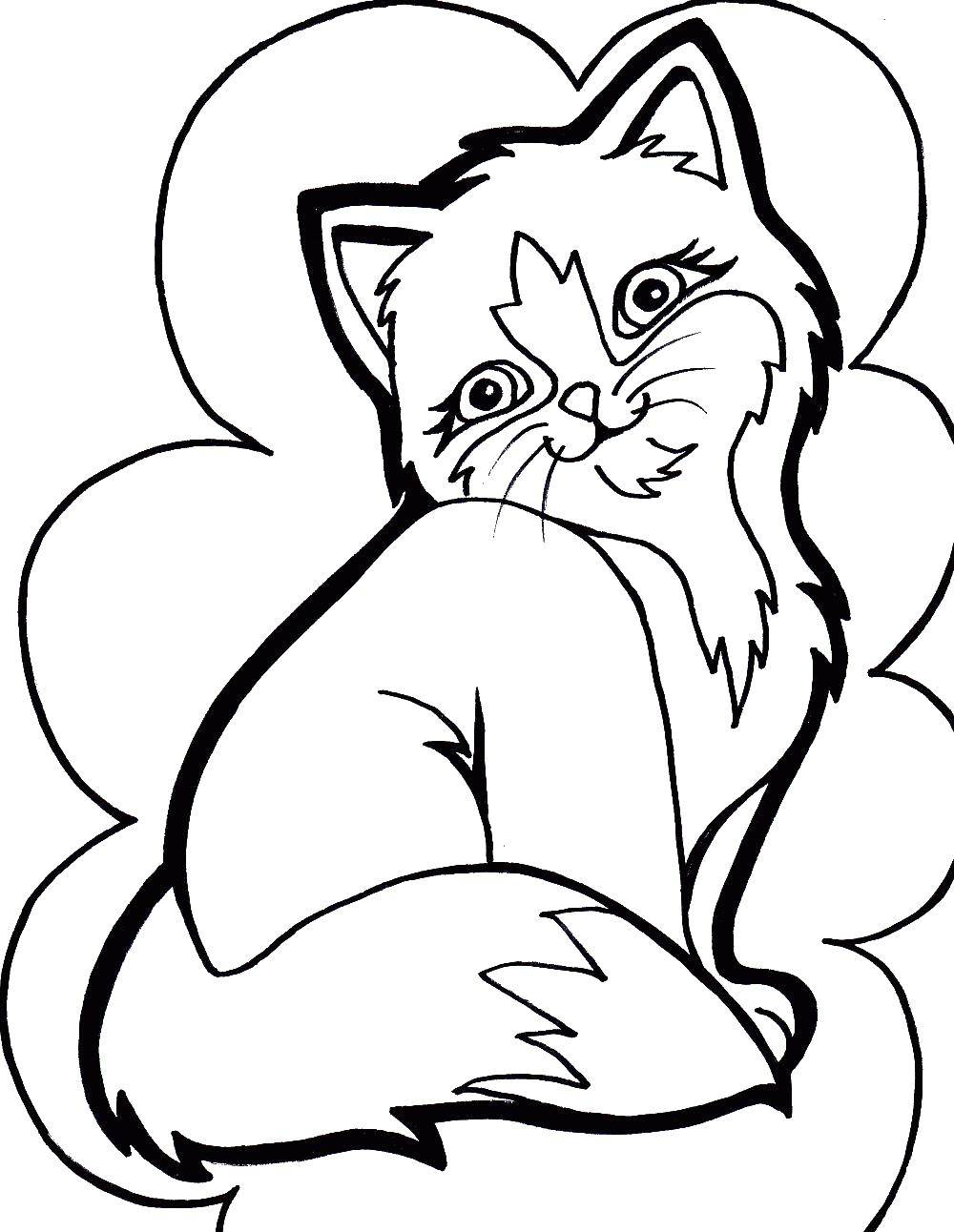 Раскраска Кошечка Скачать ,кошка, кот,.  Распечатать 