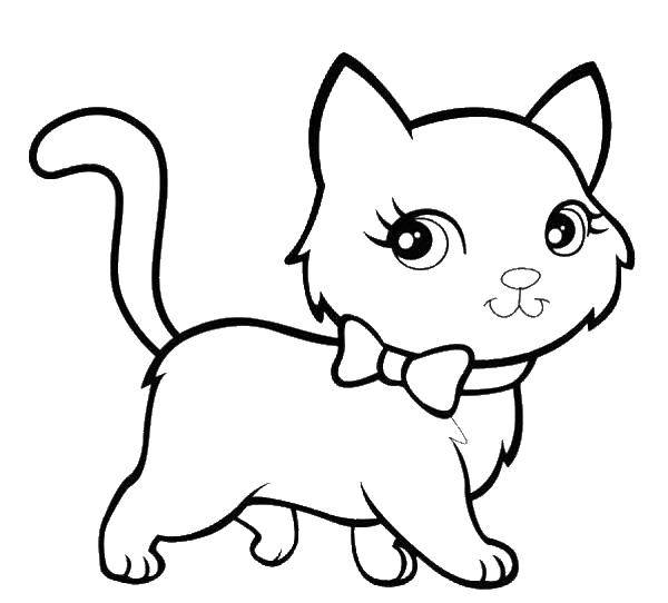 Раскраска Кошечка Скачать ,кошка, кот,.  Распечатать 