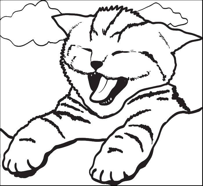 Раскраска Кошка Скачать ,кошка, кот,.  Распечатать 