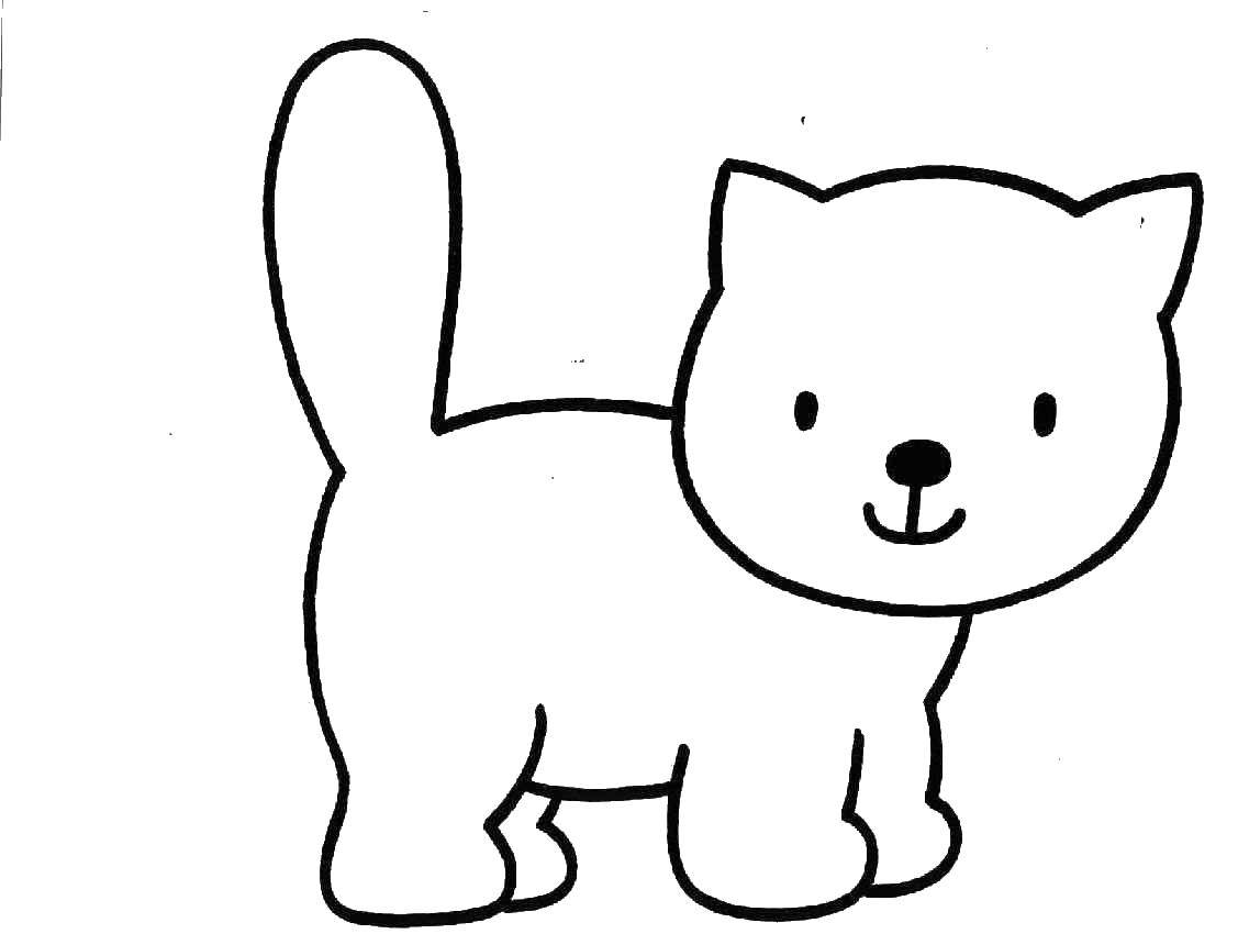 Раскраска Кошка Скачать ,кошка, кот,.  Распечатать 