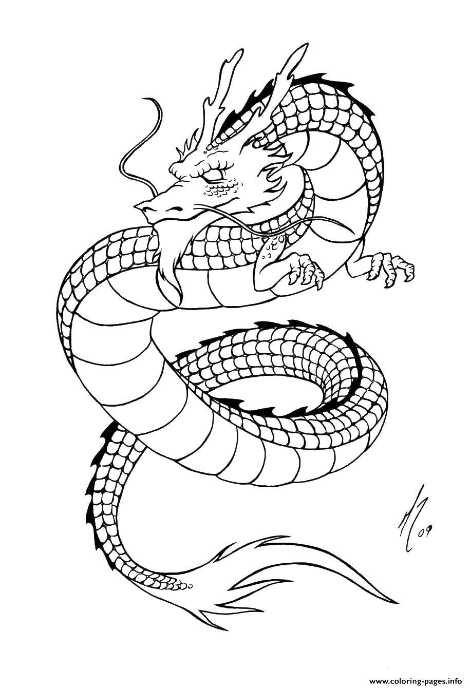 Раскраска Дракон Скачать ,драконы, дракон,.  Распечатать 