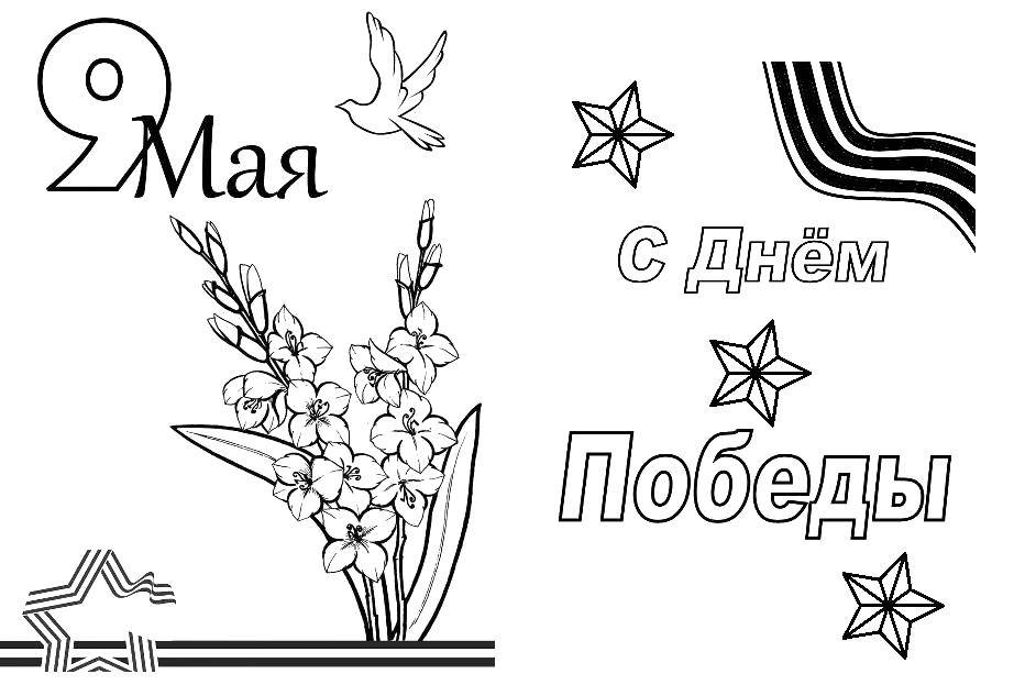 Название: Раскраска 9 мая. Категория: поздравление. Теги: Поздравление, 9 мая, День Победы.