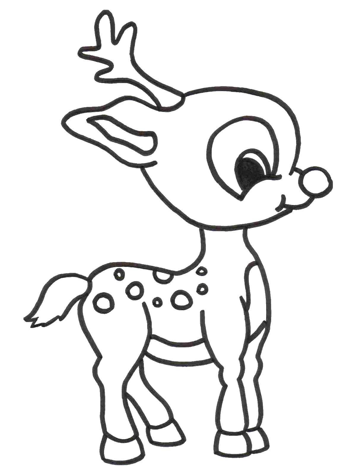 Раскраска Олень Скачать ,олень, животные,.  Распечатать 