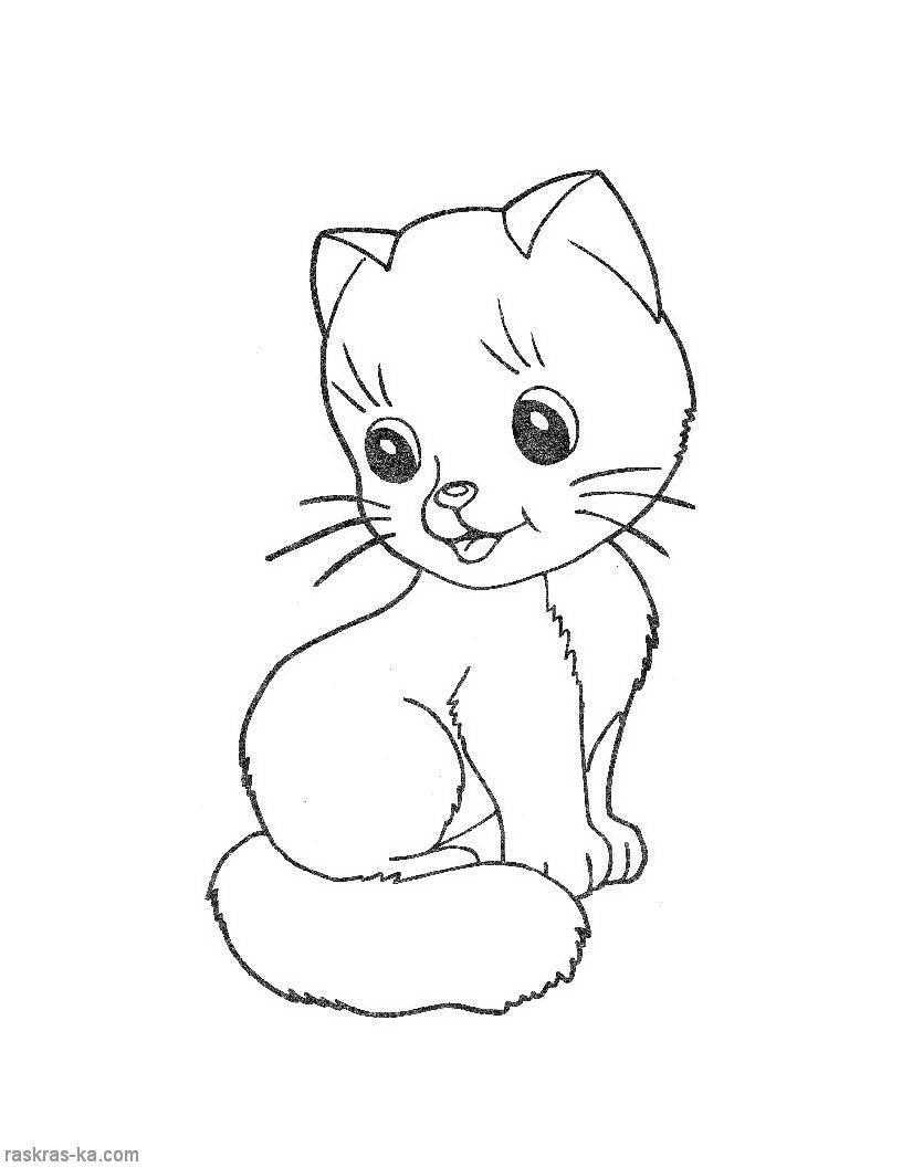 Раскраска Рисунок кошечки Скачать ,кошка,кот,.  Распечатать 