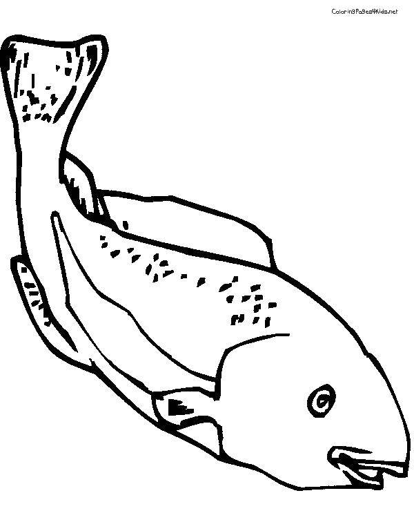 Раскраска Рыба Скачать ,море, рыба,.  Распечатать 