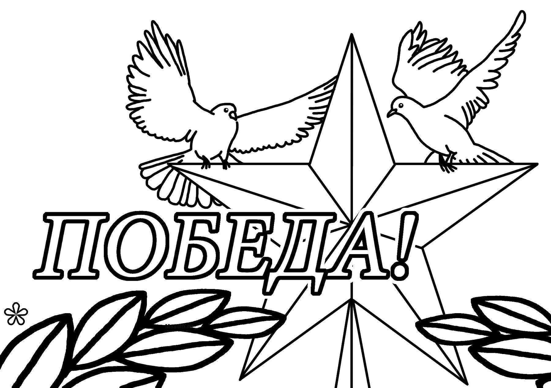 Раскраска Победа!!! Скачать ,Поздравление, 9 мая, День Победы,.  Распечатать 